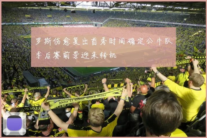 罗斯伤愈复出首秀时间确定公牛队季后赛前景迎来转机