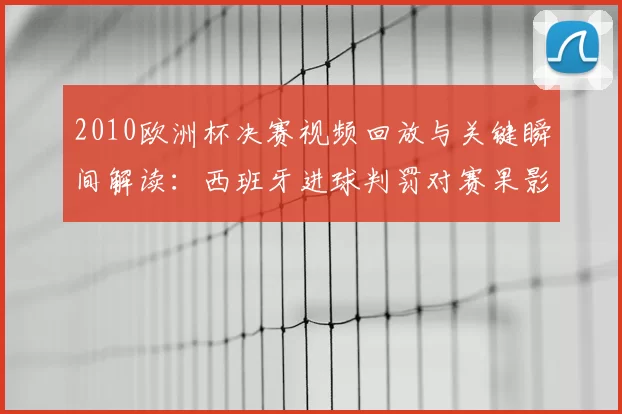 2010欧洲杯决赛视频回放与关键瞬间解读：西班牙进球判罚对赛果影响