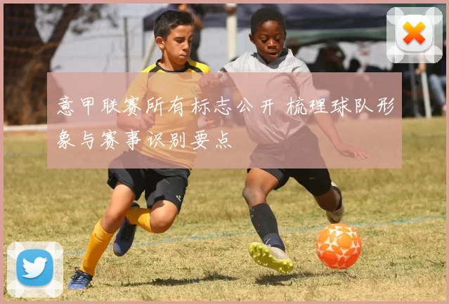意甲联赛所有标志公开 梳理球队形象与赛事识别要点