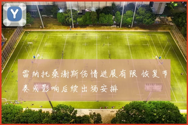 雷纳托桑谢斯伤情进展有限 恢复节奏或影响后续出场安排