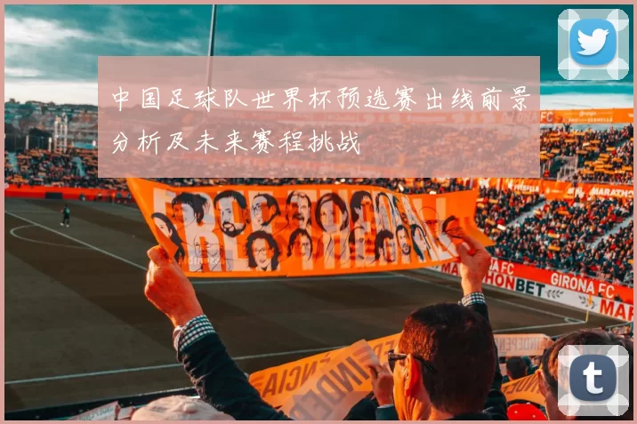 中国足球队世界杯预选赛出线前景分析及未来赛程挑战