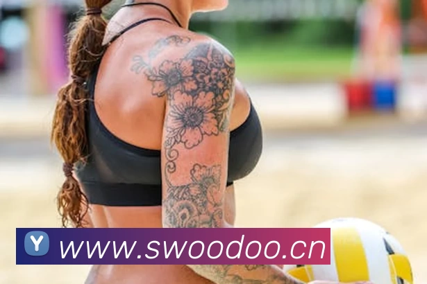 世界杯直播观看入口发展历程